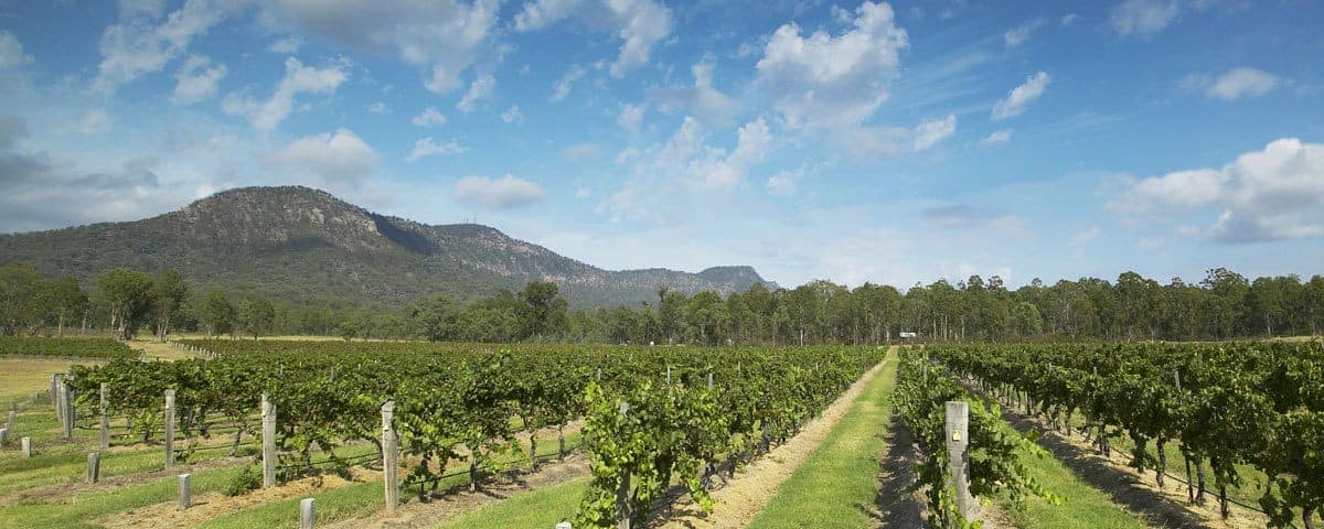 Wollemi Weeds and Wine | Hunter Valley