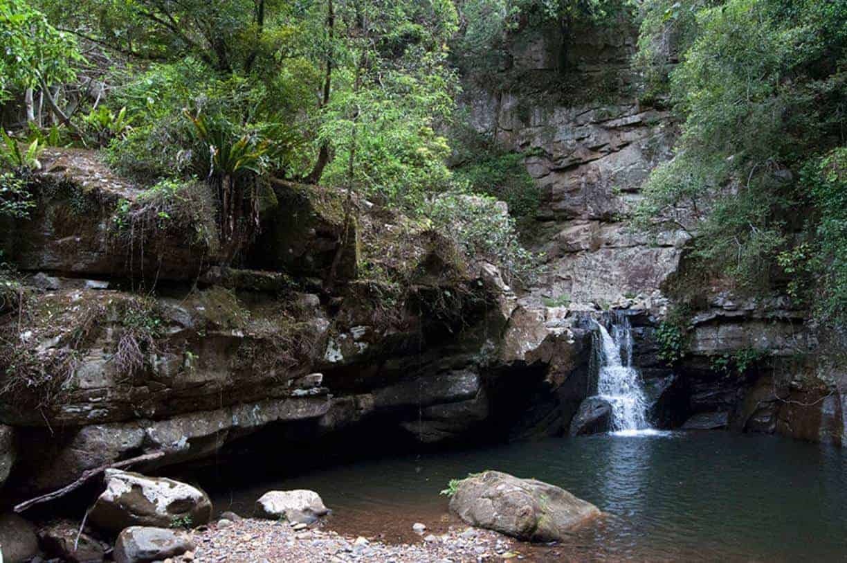 NSW | NPWS Canyon Care Project Macquarie Pass