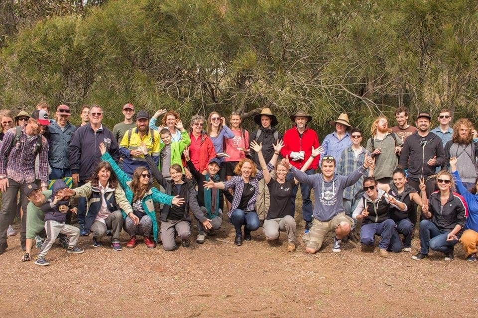 NSW | Planting a Littoral Rainforest ~ Part 2